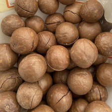 Noci Macadamia In Guscio 1kg Origine Australia