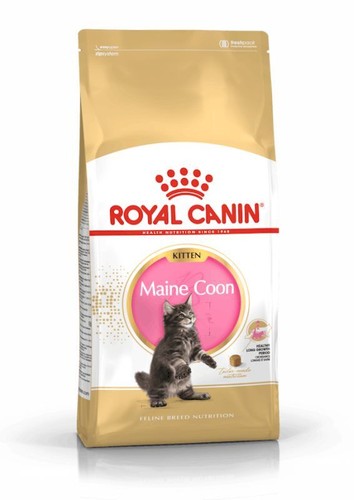 Royal canin gatto - royal, kitten