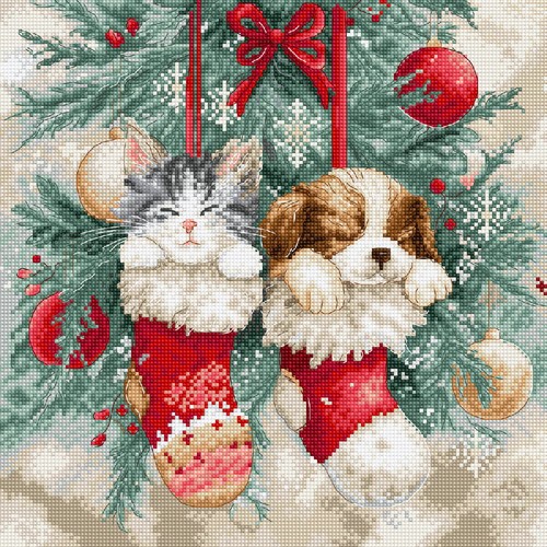 Kit letistitch per punto - per,