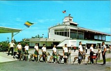 Bonita Springs, FL Florida DOG