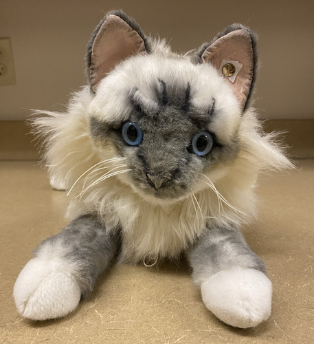 Peluche gatto birmano sacro