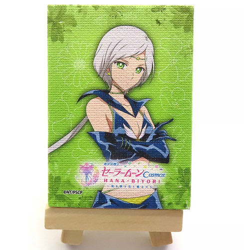Quadro tela sailor moon - tela,