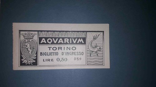 Torino biglietto ingresso - biglietto,