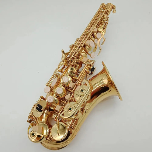 Nuovo sassofono soprano curvo
