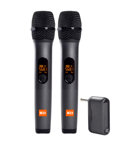 Microfono professionale - 2x,