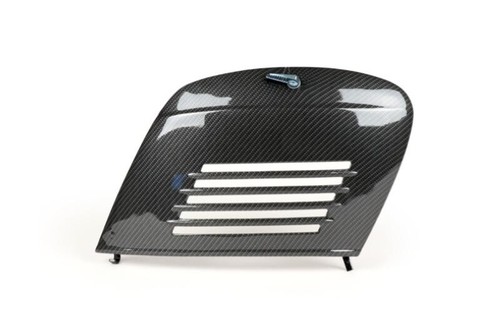 Sportellino motore carbon look - motore,