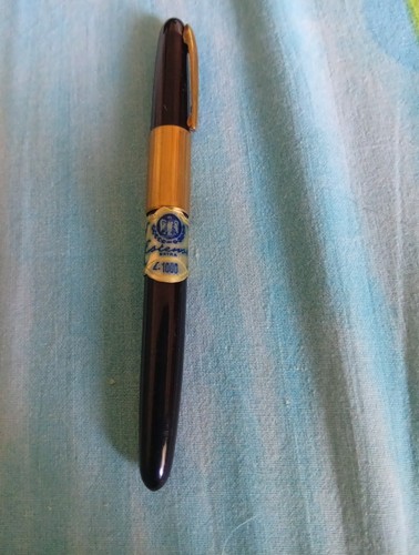 Penna stilografica estense - stilografica,