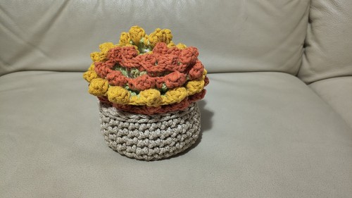 Vaso dei fiori che - vaso,