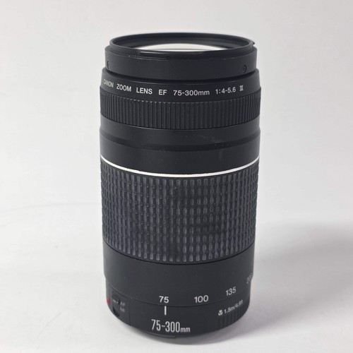 Canon 300 4 - canon, f/4-5.6
