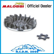 SEMIPULEGGIA VENTILVAR MALOSSI