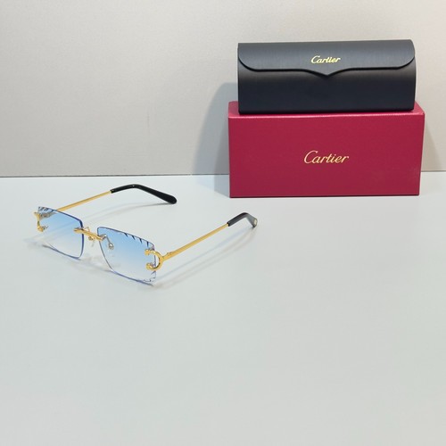 Cartier ct0092o big - ct0092o,