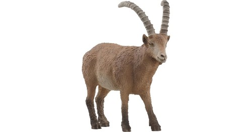 Wild life capricorno - wild,