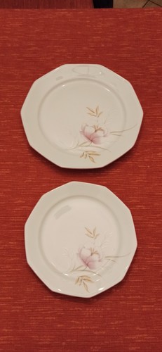 Piatti porcellana - piatti,