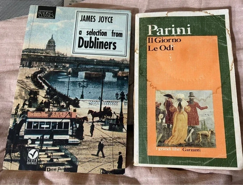 Lotto libri classici russi