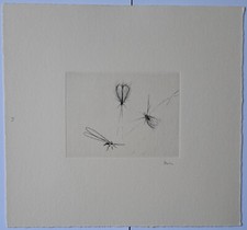 Guido Strazza (Santa Fiora 1922) - Insetti, 1980 - Incisione n° 3