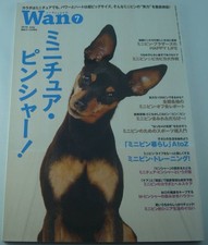 Miniature Pinscher Figure July