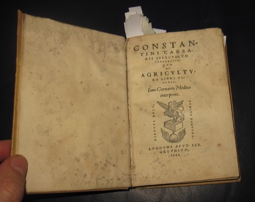 1541 costantino porfirogenito - costantino,