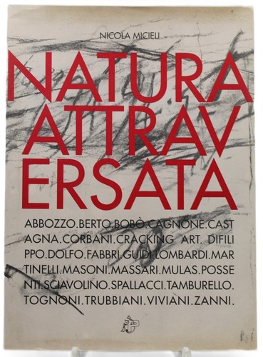 Libro arte natura attraversata - natura,