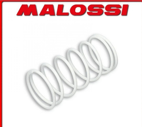 Malossi 298360 molla - malossi,