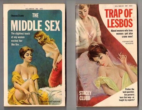 Vintage lesbian erotica book - 2,