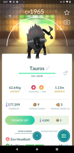 Shiny paldean tauros - shiny,