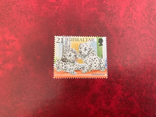 Gibilterra 1996 mnh cucciolo - 1996,