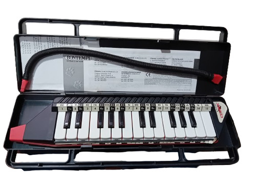 Diamonica bontempi vintage - diamonica,