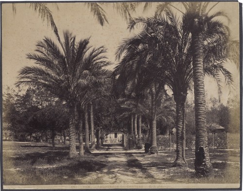 Nice promenade del château - nice,