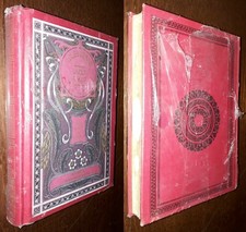 L'isola a Elica, Jules Verne