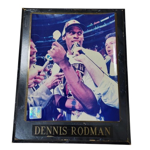 Rebounding king dennis rodman - king,,