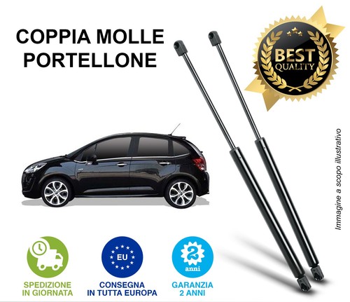 Coppia pistoni portellone - coppia,