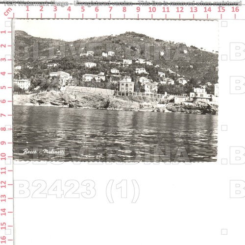 B2423 genova recco - genova, mulinetti