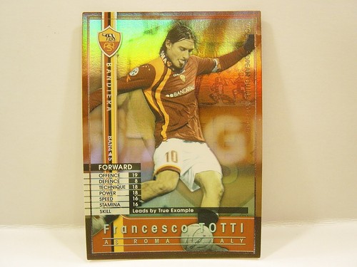 Panini wccf 2005 ban - panini,