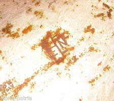 ARTE_DESIGN_ARTISTICO