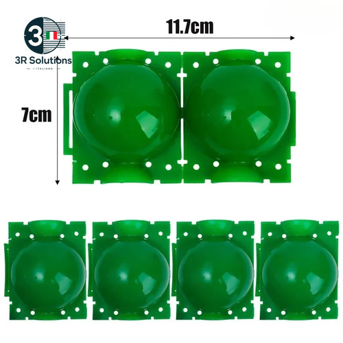 100pcs pianta radicamento - pianta,
