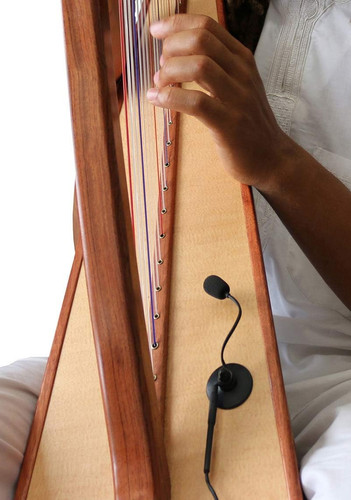 Microfono arpa concerto piuma