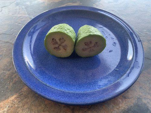 Semi guava ananas - semi,
