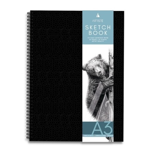 Libro schizzi artista - schizzi, d'artista