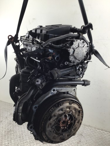 Motore bls golf - golf, v