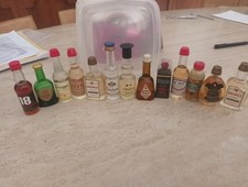 Bottiglie Mignon 13 Pezzi