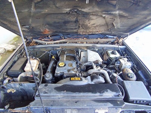 Centralina motore land rover - motore,