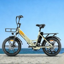 20" 250W Bicicletta Elettrica