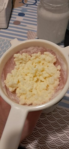 Granuli kefir latte - di,