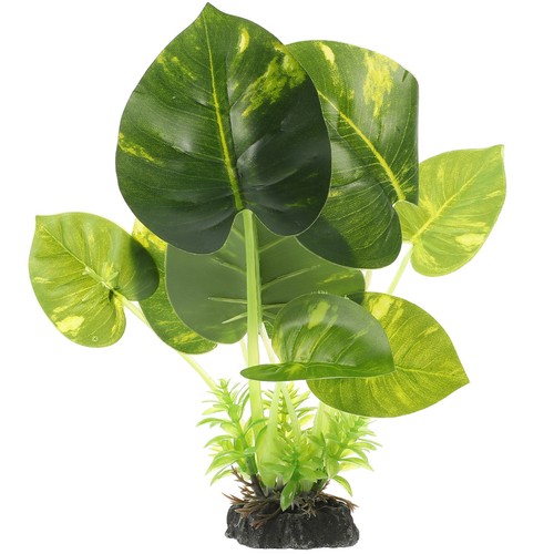 Vegetazione del serbatoio - ,