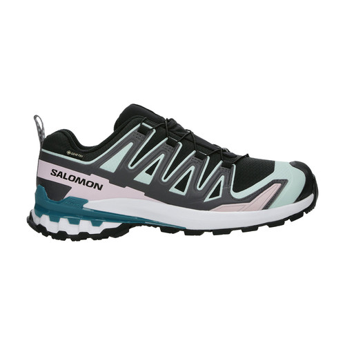 Salomon pro gtx - v9,