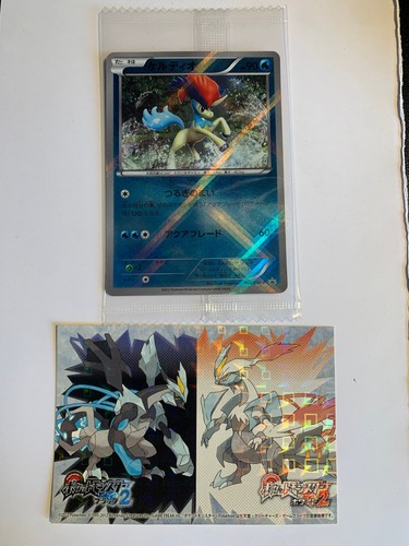 Pokemon card carte - pokemon,