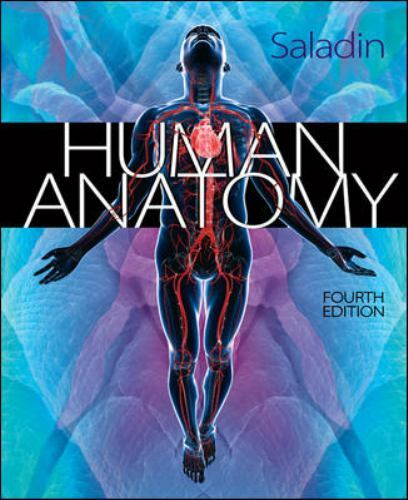Human anatomy saladin - human,