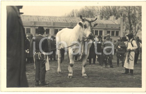 1930 milano fiera mostra - -,