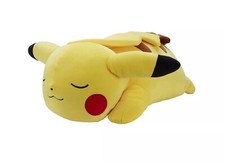 ☀️ Pokemon 18” Sleeping