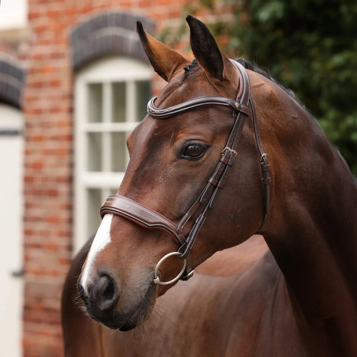 Shires velociti lusso opus - lusso,